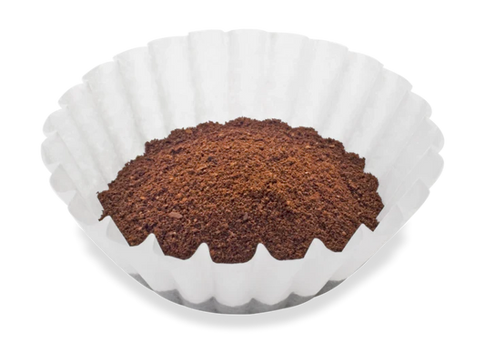 Coffee Filters