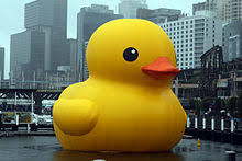 Rubber Duck